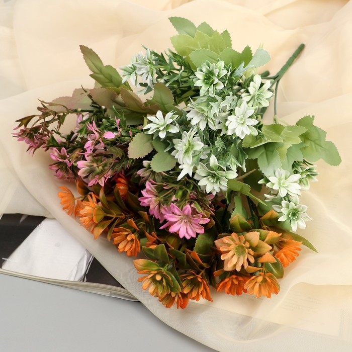 Букет "Граптопеталум" 25 см, микс