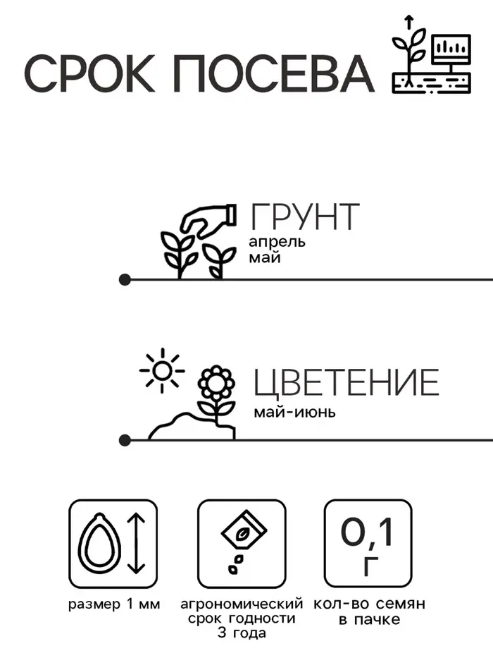 Семена цветов Иберис  "Cмесь", 0,1 г Семена цветов Иберис  "Cмесь", 0,1 г