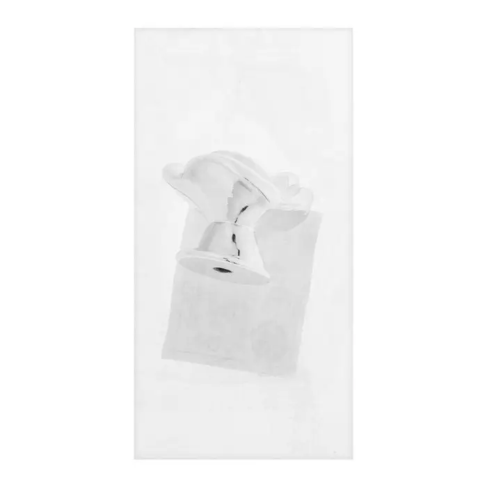 Ручка-кнопка CAPPIO Rose 01, белая с серебряным