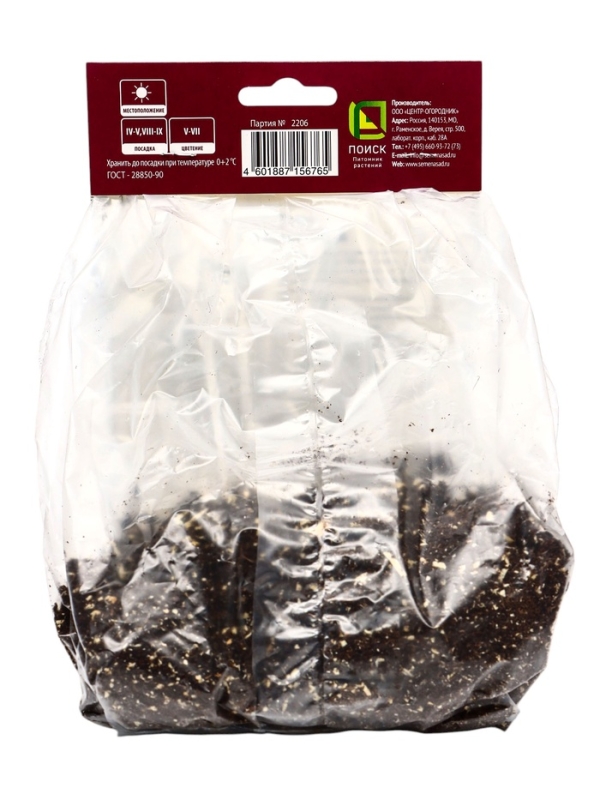 Купальница гибридная Чеддар, р-р I, 1 шт, Весна 2025