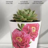 Кашпо для цветов &laquo;Пионы&raquo;, 800 мл, d=12 см, h=11 см, пластиковое
