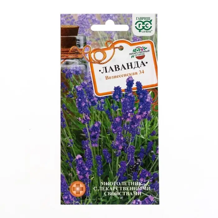 Семена Лаванда узколистная, "Вознесенская 34", ц/п,  0,05 г