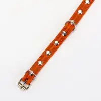 Ошейник кожаный однослойный украшенный, 1,2 см, ОШ 20-26 см микс цветов Ошейник кожаный однослойный украшенный, 1,2 см, ОШ 20-26 см микс цветов