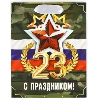 Пакет подарочный ламинированный &laquo;23 февраля&raquo;, S 12&times;15&times;5.5 см