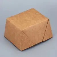 Контейнер одноразовый, коробка пищевая, для лапши, 600 мл, 11&times;9&times;7.3 см