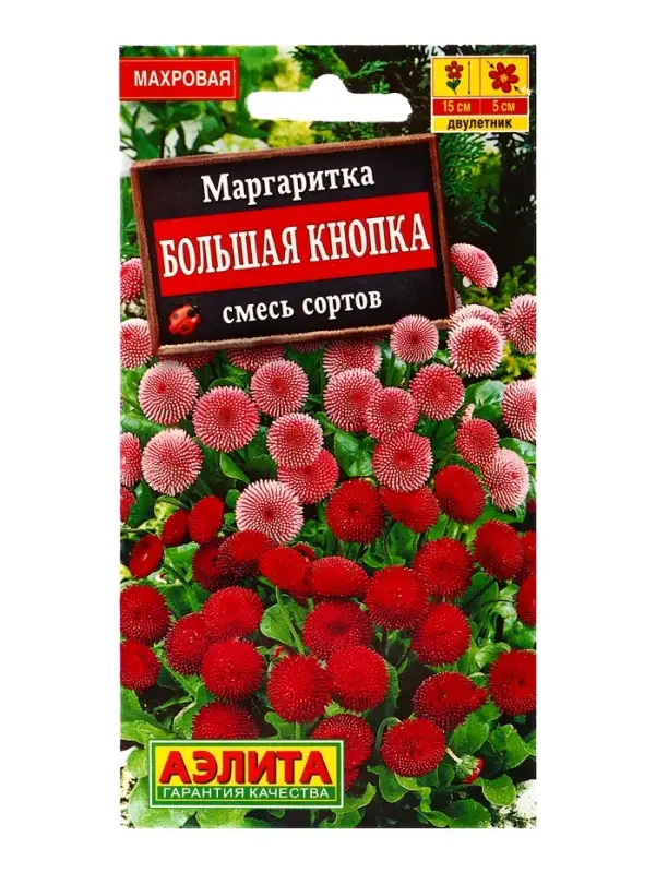 Семена цветов Маргаритка Большая кнопка, смесь сортов Дв, Ц/П,0,03 г