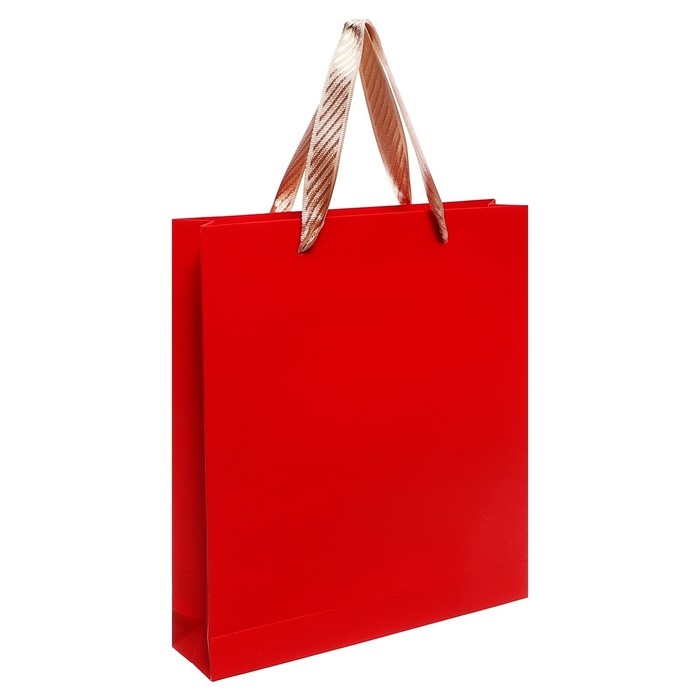 Органайзер на кольцах А6+, 80 листов, кожзам, c клапаном, линия, с ручкой, в подарочной коробке, красный Органайзер на кольцах А6+, 80 листов, кожзам, c клапаном, линия, с ручкой, в подарочной коробке, красный