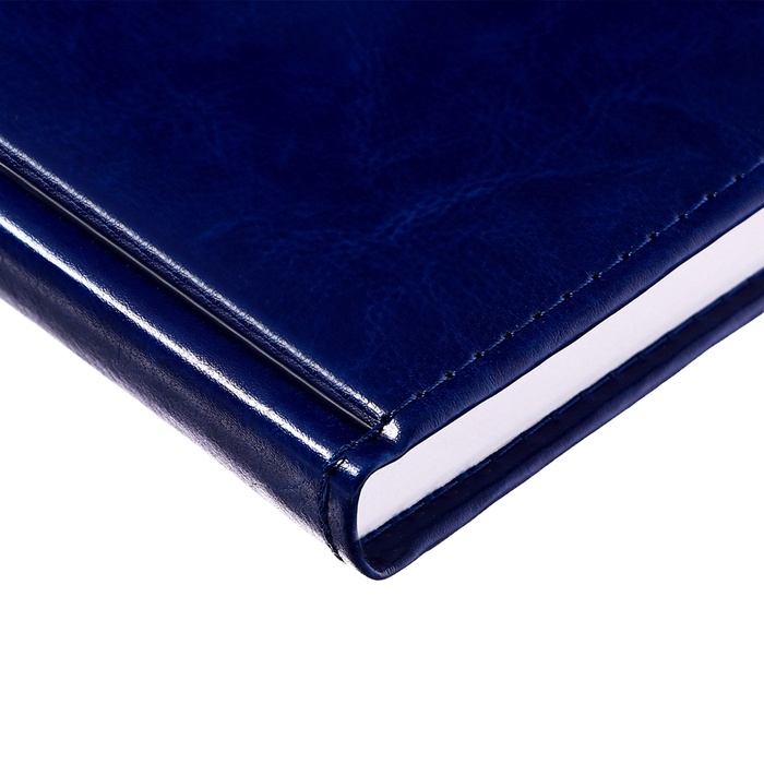 Ежедневник недатированный А5, 160 листов  Ежедневник недатированный А5, 160 листов "Небраска", обложка искусственная кожа, перфорация углов, синий