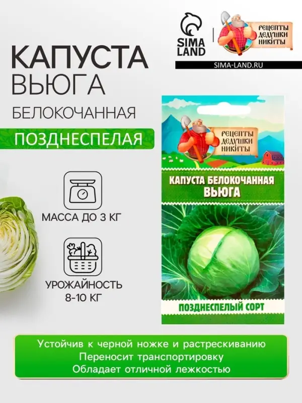 Семена Капуста белокочанной  Семена Капуста белокочанной "Вьюга", 0,3 г