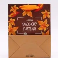 Набор ламинированных вертикальных пакетов &laquo;Классному учителю&raquo;, 3 шт, MS 18 &times; 23 &times; 10 см
