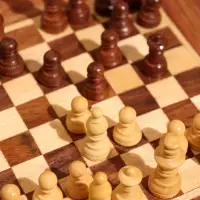 Шахматы магнитные, 20.5&times;20.5&times;3.5 см, дерево шишам