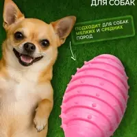 Жевательная игрушка для собак &laquo;Шантажист&raquo;, 10 см, TPR, розовая