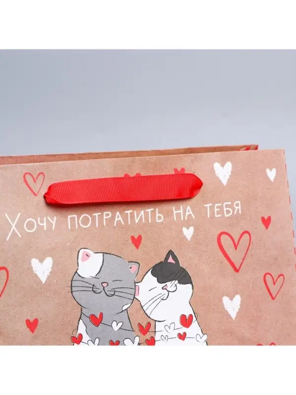Пакет подарочный крафтовый, упаковка, &laquo;Потрачу девять жизней&raquo;, MS 18&times;23&times;8 см