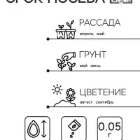 Семена Астра "Джувел Гранат", ц/п, однолетняя 0,05 г Семена Астра "Джувел Гранат", ц/п, однолетняя 0,05 г