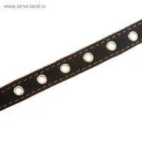 Ошейник однослойный безразмерный, 45&times;2 см, ОШ 18-39 см, кожа, синий