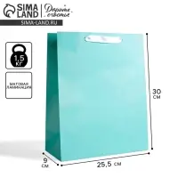 Пакет подарочный, упаковка &laquo;Мятный&raquo;, M 25.5&times;30&times;9 см