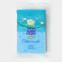 Губка для тела массажная &laquo;Совершенство&raquo;, 16.5&times;10.5&times;5 см, МИКС