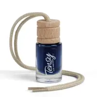 Ароматизатор в машину Tensy, чёрный лед, бутылочка, 6 мл, ТВ-11