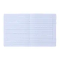 Комплект тетрадей из 10 штук, 12 листов в частую косую линию Calligrata "Аниме", обложка мелованный картон, ВД-лак, блок офсет, 5 видов по 2 штуки