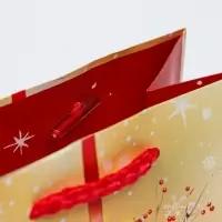 Пакет подарочный "Стеклянный шар", 11,5 х 14,5 х 6,5 см. Пакет подарочный "Стеклянный шар", 11,5 х 14,5 х 6,5 см.