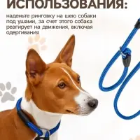 Ринговка для собак, 130&times;0.8 см, синяя