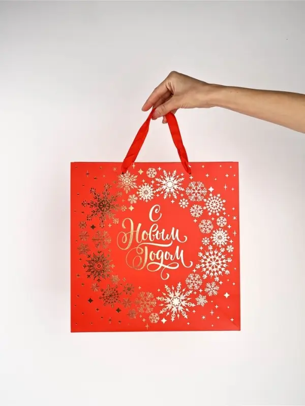 Набор новогодних пакетов &laquo;С Новым Годом!&raquo;