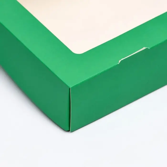 Контейнер на вынос, зелёный, 20×12×4 см