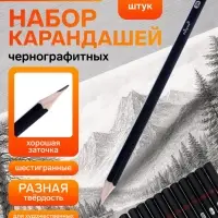 Набор карандашей чернографитных Calligrata, 12 штук, разная твёрдость, шестигранные, деревянные