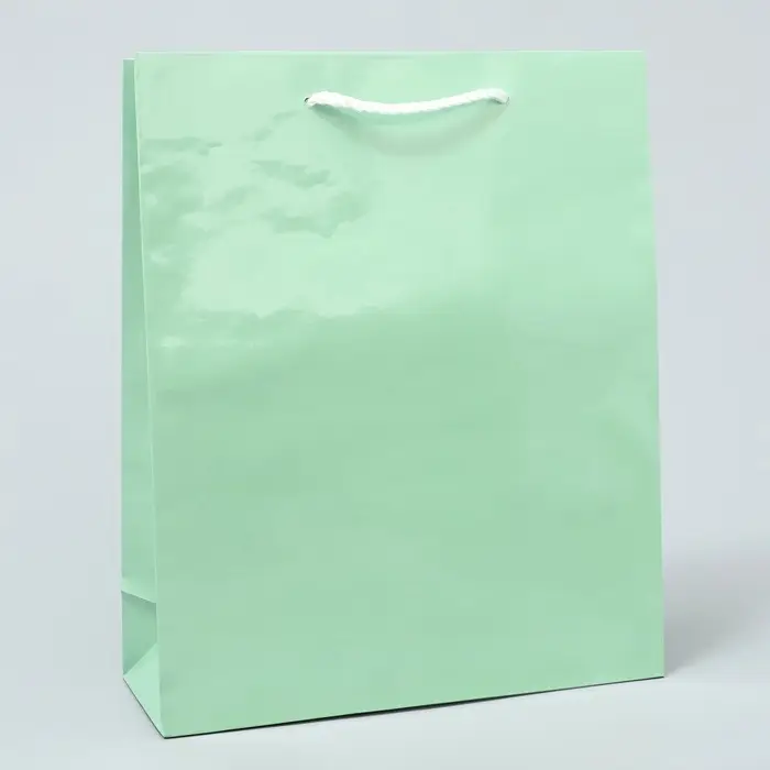 Пакет подарочный ламинированный, упаковка, «Зелёный», ML 21 х 25 х 8 см