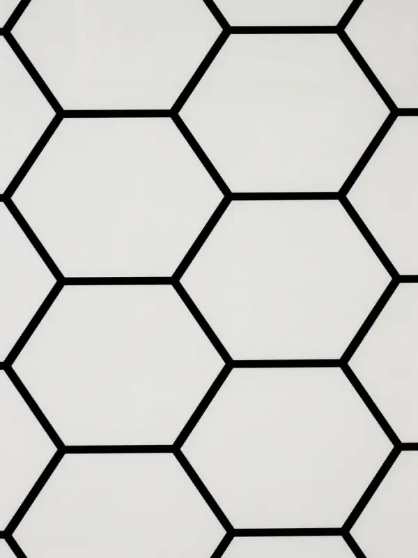 Стеновая панель самоклеящаяся TAKE IT EASY &laquo;Шестиугольник&raquo;, 300&times;600 мм, цвет белый, 10 шт.