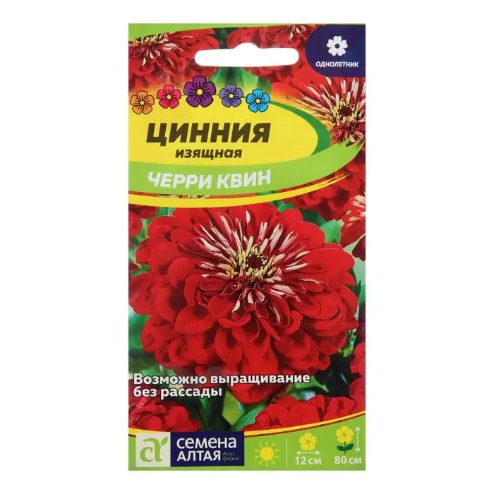 Семена цветов Цинния Семена цветов Цинния "Черри Квин", георгиноцветковая, Сем. Алт, ц/п, 0,3 г