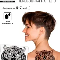 Переводная тату на тело чёрная &laquo;Тигр&raquo;, 38&times;24 см