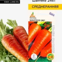Семена Морковь &laquo;Шантенэ 2461&raquo;, 5 г, &laquo;Агросс&raquo;