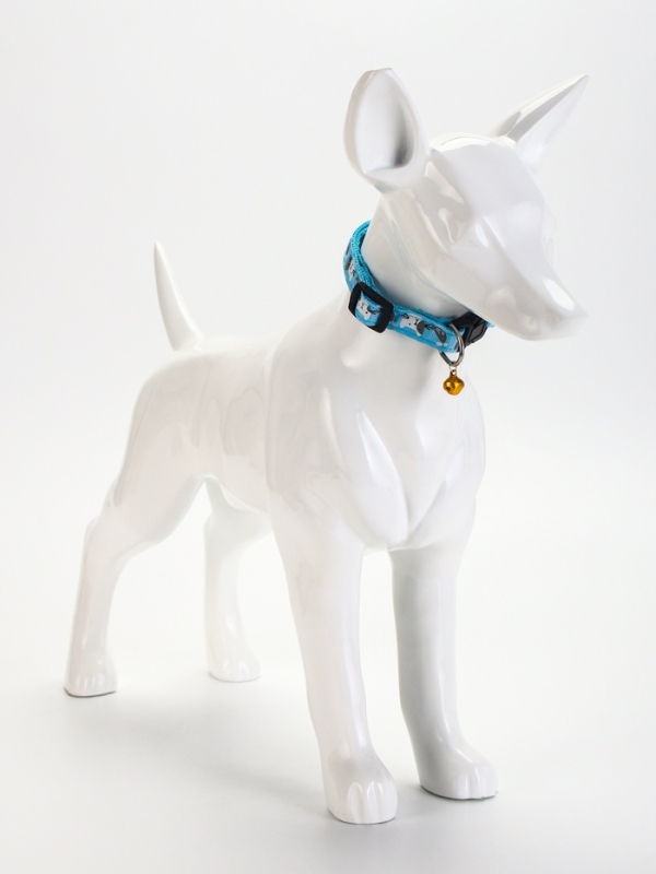 Ошейник Ошейник "Котята", 40 х 1,5 см, голубой