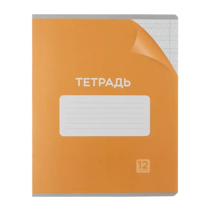 Комплект тетрадей из 10 штук, 12 листов в частую косую линию Calligrata "Однотонная Классика с уголком. Эконом", обложка мелованный картон, ВД- лак, блок №2, белизна 75% (серые листы), 5 видов по 2 штуки