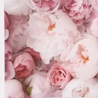 Бумага упаковочная, глянцевая &laquo;Весенний букет пионов&raquo;, 70&times;50 см