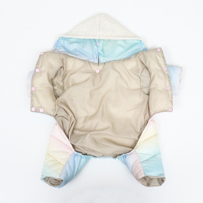 Комбинезон  Комбинезон "Для прогулки", размер 14 (ДС 28 см, ОГ 42 см, ОШ 31 см), пастельный