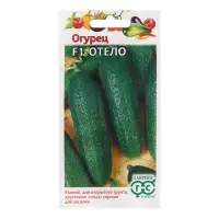 Семена Огурец "Отело", F1, 10 шт