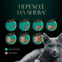 Влажный корм Sheba для кошек, пауч, кролик и индейка в соусе, 75 г