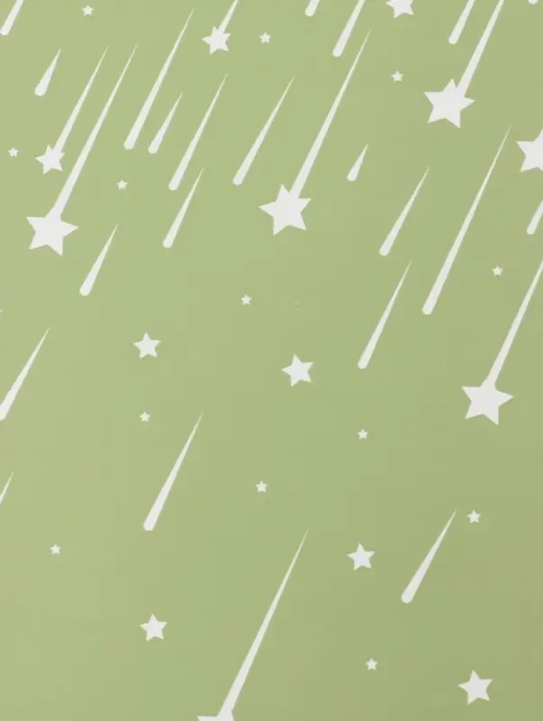 Пленка флористическая для цветов &laquo;Звездопад&raquo;, нежно-зелёная, 57&times;57 см