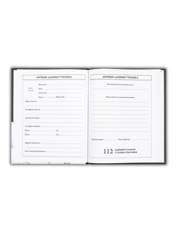 Дневник школьный для 5-11 класса, в твердой обложке, 48 л. "Black"