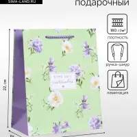 Пакет подарочный ламинированный &laquo;Нежный штрих&raquo;, мятный с сиреневым, 18&times;22.3&times;10 см
