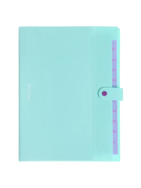 Папка А4 Haze, 12 отделений, 600 мкм, на кнопке, мятная