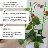 Клипса для растений, набор 10 шт., МИКС, Greengo