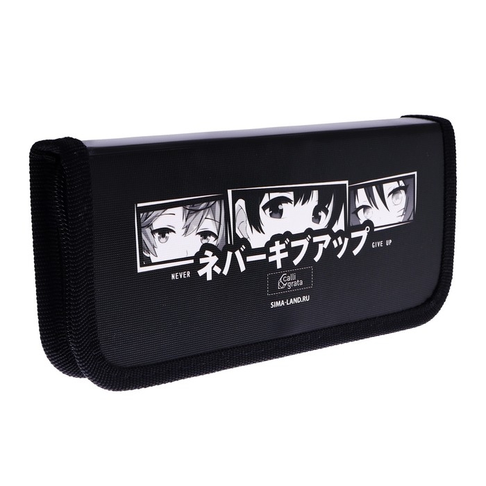 Пенал 1 секция, 90 х 195 х 25 мм, Calligrata Пенал 1 секция, 90 х 195 х 25 мм, Calligrata "Аниме", ламинированный картон