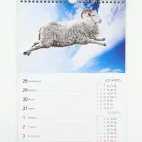 Календарь-еженедельник 2027, настенный, перекидной, 56 листов 24&times;32 см, &laquo;Символ года&raquo;