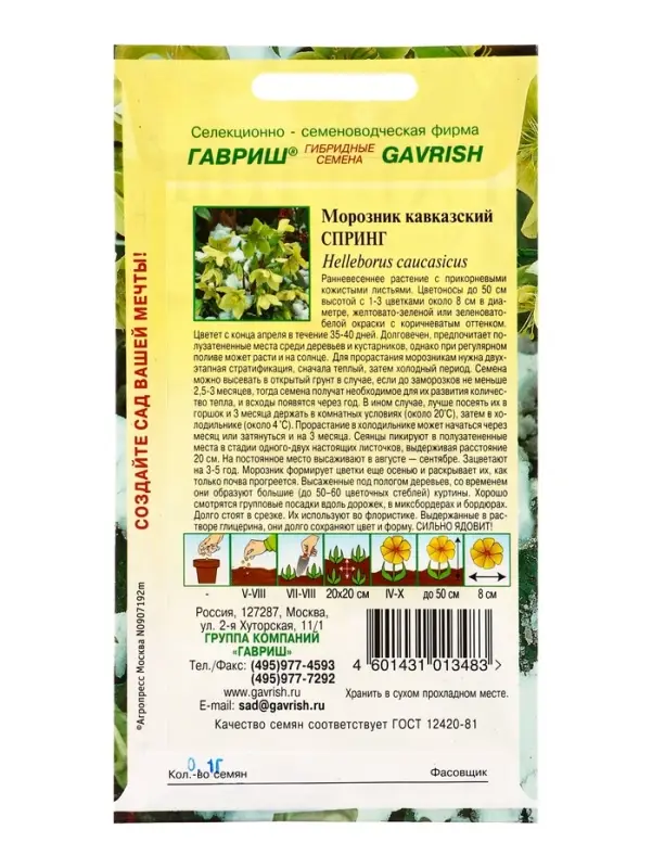 Семена цветов Морозник кавказский Спринг (лимонно-зеленый)* 0,1 г DHп