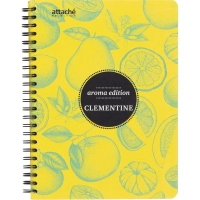 Бизнес-тетрадь  ароматизир.100л,кл,А5, КЛЕМЕНТИН,спир,тонир.блок 84906