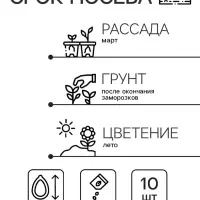 Семена цветов Катарантус "Казанова", 10шт Семена цветов Катарантус "Казанова", 10шт