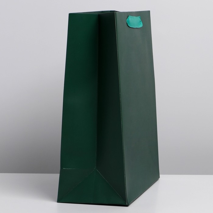 Пакет подарочный ламинированный, упаковка, «Изумрудный», M 26 х 30 х 9 см